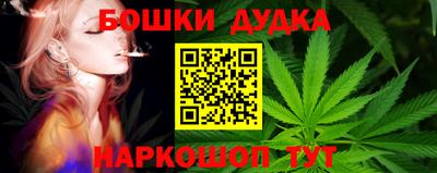дмт Донской
