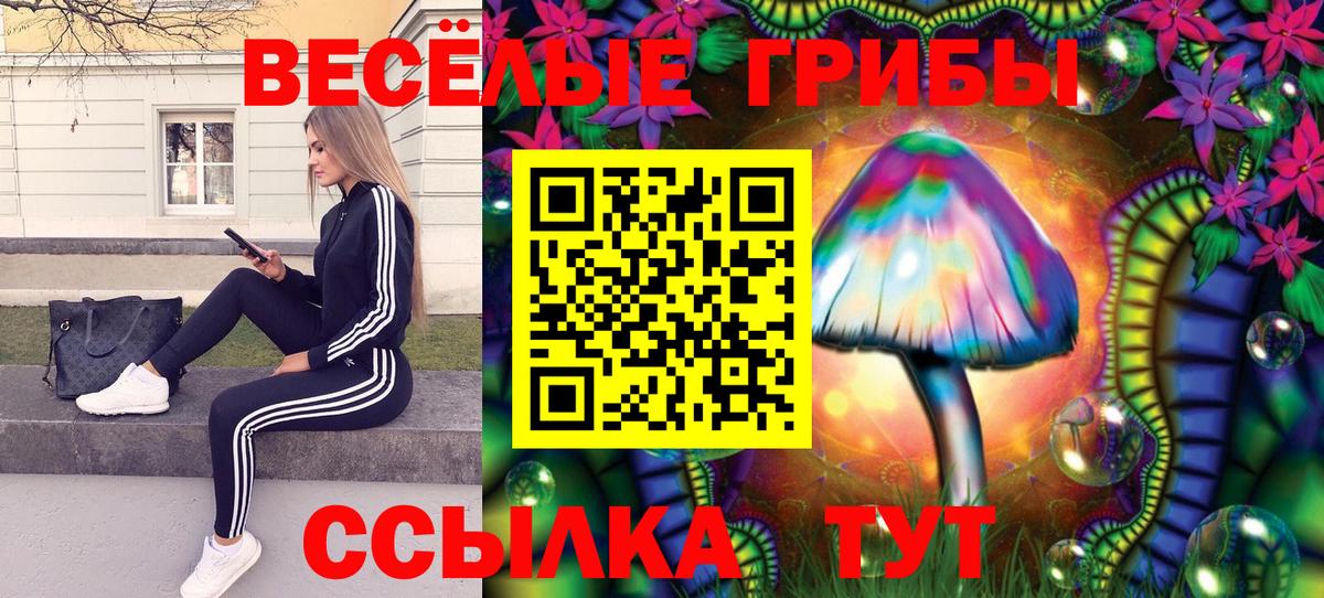 Отрадное  Псилоцибиновые грибы MAGIC MUSHROOMS  Псилоцибиновые грибы мухоморы  Вход с VPN 