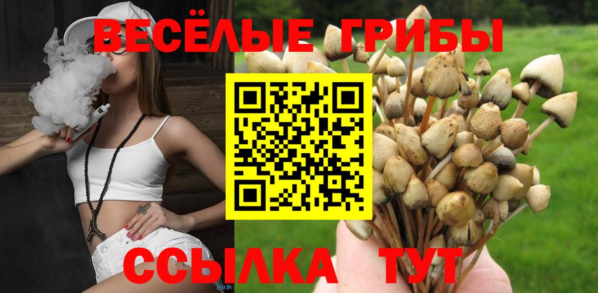 Галлюциногенные грибы GOLDEN TEACHER Отрадное