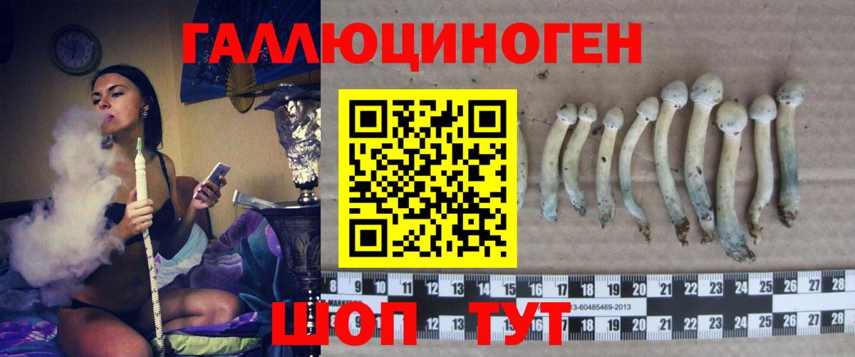 ГАШИШ Отрадное