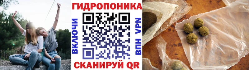 Марихуана Bruce Banner  Отрадное 